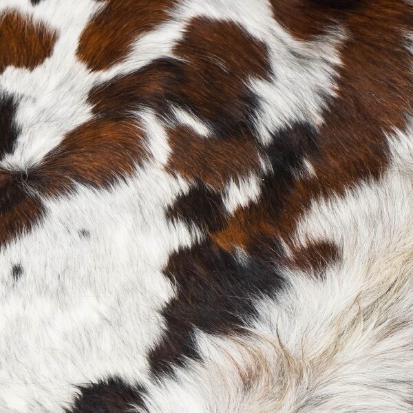 HOCPC.Tricolor Hair On.01.jpg Hair-on Cowhide Pre-Cuts Image